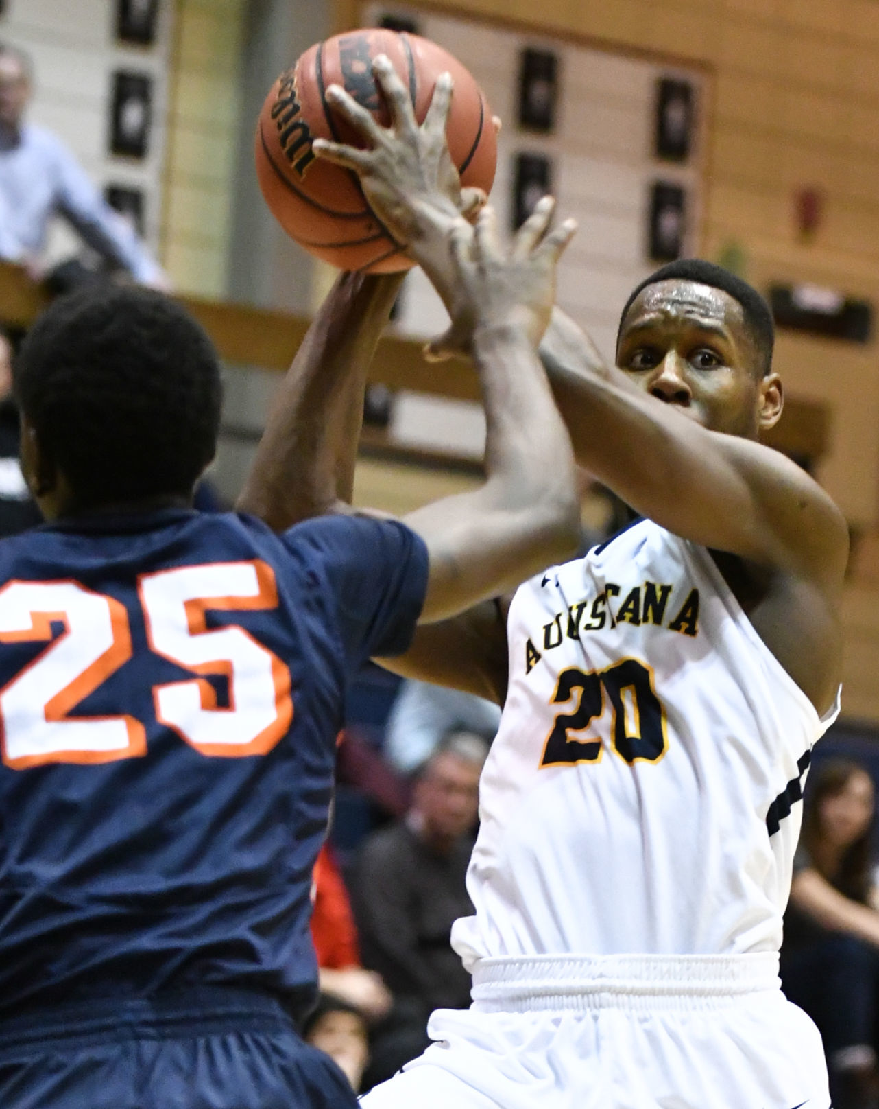 Augie preview